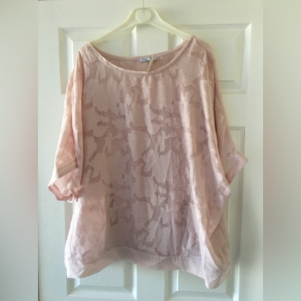 Sz 2X pale pink top by Dex new with tags